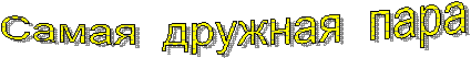 Самая дружная пара