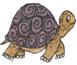 http://*****/images/turtle.gif