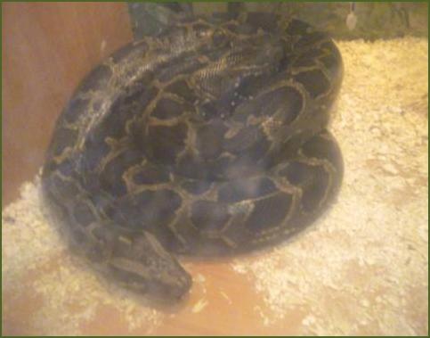 H:\��.������\DSCN2155.JPG