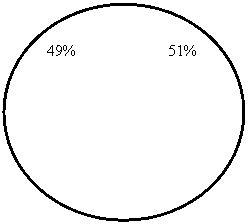 ����: 49% 51%