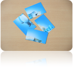C:\Users\1\Desktop\��� ����\P1020381.JPG