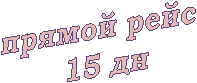 ������ ����

 15 ��