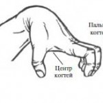 http://*****/wp/wp-content/uploads/2012/01/pozy_ruk_3_2-150x150.jpg