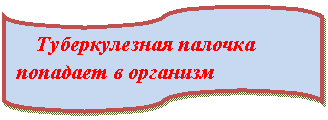 Блок-схема: перфолента: Туберкулезная палочка попадает в организм