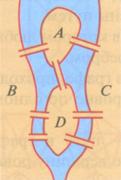 C:\Documents