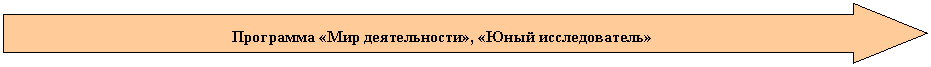 Стрелка вправо: Программа «Мир деятельности», «Юный исследователь»