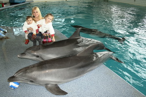 Delfinariy