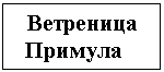 Подпись: