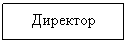 �������: