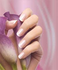 http://t2.gstatic.com/images?q=tbn:ANd9GcS_Cj1AywvrE66c6zOwKLmMWseWCAqDZm62PRYnYg895C9Umumj