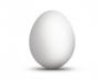 http://blog.allodov.net/wp-content/uploads/2011/03/white-egg-300x240.jpg