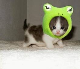 http://*****/pictures/s3img__9757_1.jpg
