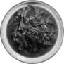 borch