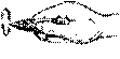 ������,