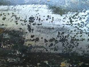 ��������: ���2