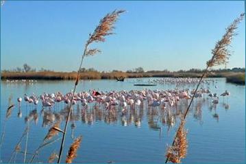 Description: X:\Images Hotels\VILLES\Camargue\tour-camargue-407363.jpg