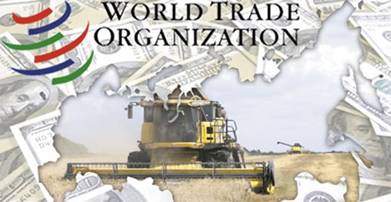 http://*****/userdata/2013/Agro-VTO-400-vnutr.jpg