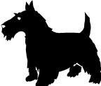 AN01084_