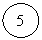 ����: 5