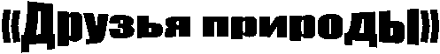 «������ �������»