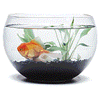 http://*****/vjpusk/vjp070/rabot/36/fish.gif