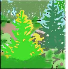 http://*****/images/sun_tree_r.jpg