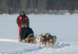 husky-karuselli