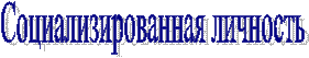 Социализированная