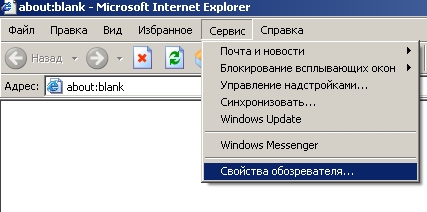 http://*****/help/nastr_ie/screen1.jpg