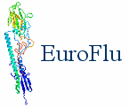 http://www.euroflu.org/html/images/euroflu_logo.gif