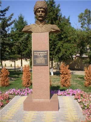 bezkrovni_a_d