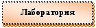 �������: �����������