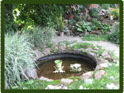 IMG_0019.jpg
