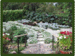 IMG_0031.jpg