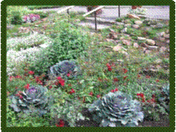 IMG_0035.jpg