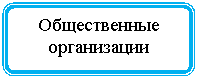 Блок-схема: альтернативный процесс: Общественные организации