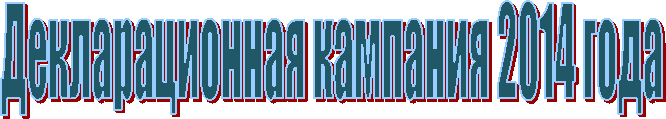 Декларационная кампания 2014 года
