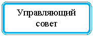 Блок-схема: альтернативный процесс: Управляющий совет