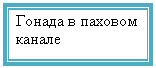 �������: ������ � ������� ������



