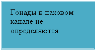 �������: ������ � ������� ������ �� ������������



