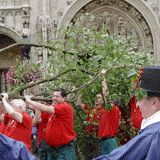 PLANTATION DU MEYBOOM