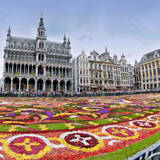 TAPIS DE FLEURS SUR LA GRAND-PLACE DE BRUXELLES