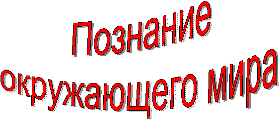 Познание
окружающего мира