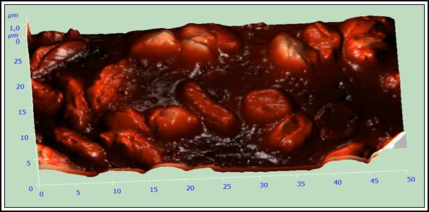 017_Chelowek_do-TENS_3D