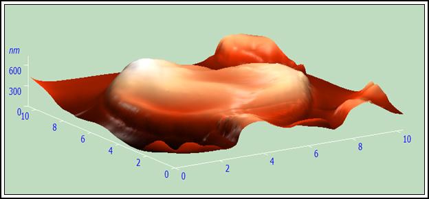 012_Chelowek_3D