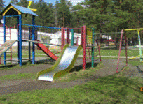 IMG_3911.png