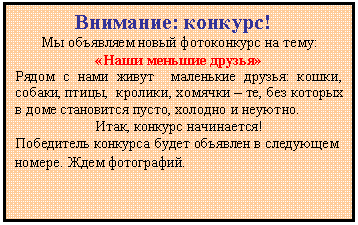 �������: