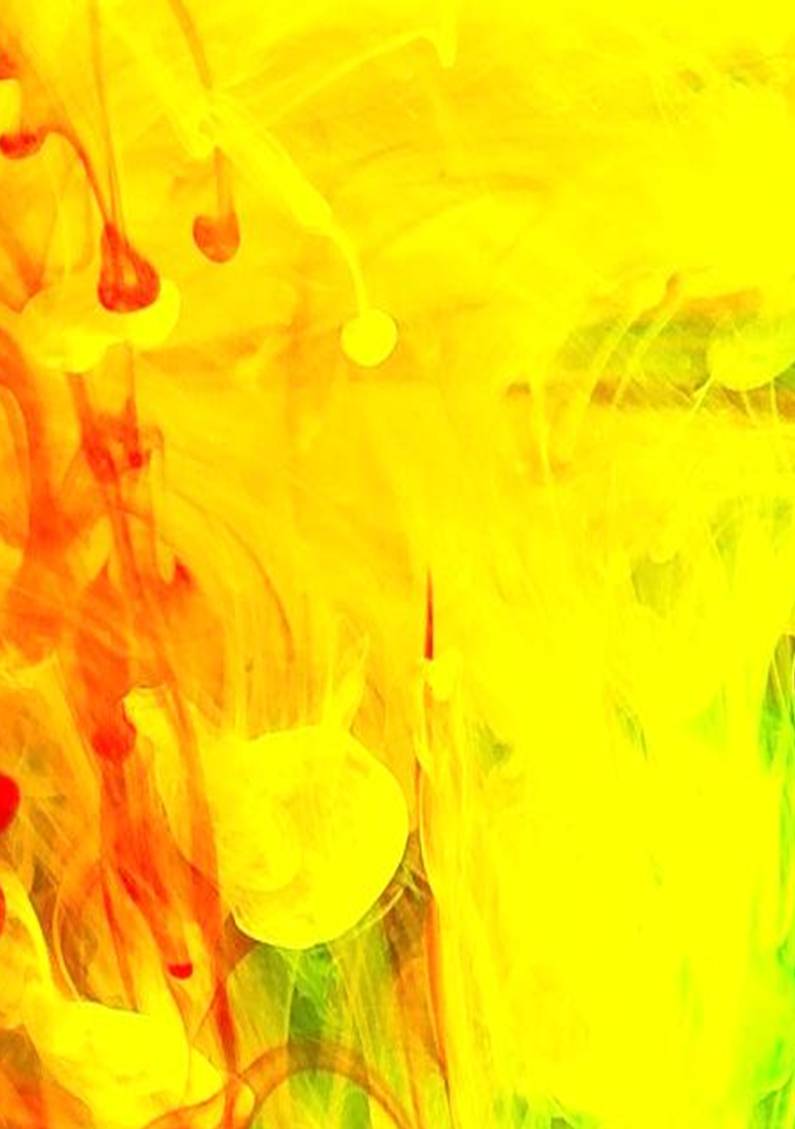 ��������: