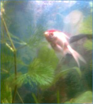 E:\Фото\Фото0058.jpg