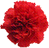 _14.png